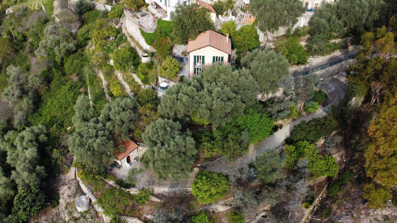 U Ciousu By Ligurian Life Appartamenti In Agriturismo Vallebona Eksteriør billede